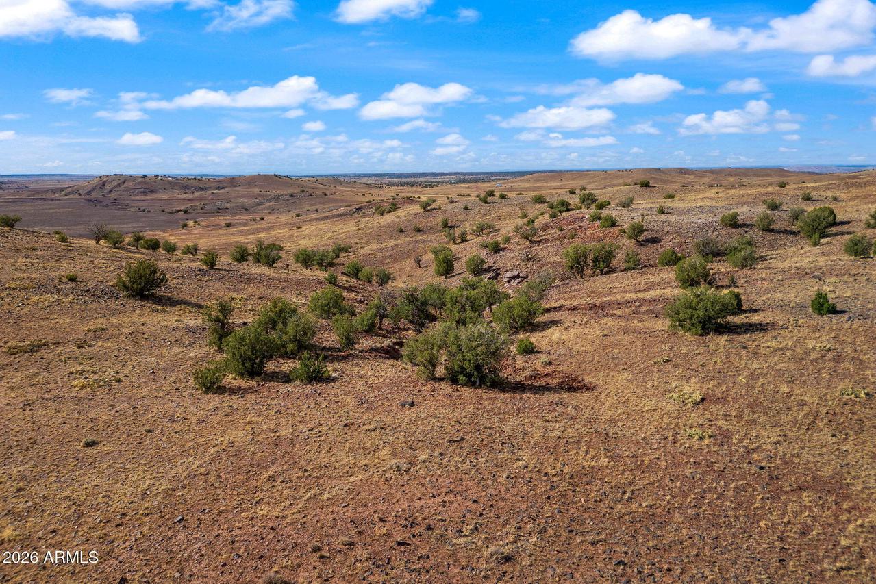 TBD N8491 #-, Concho, AZ 85924