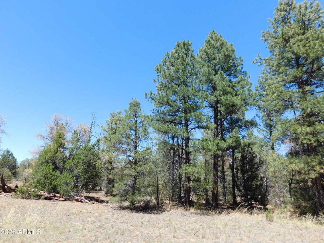3100 Pinewood Dr. #083B, Overgaard, AZ 85933