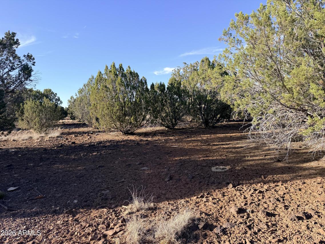 9070 Pinto Tr. #-, Show Low, AZ 85901