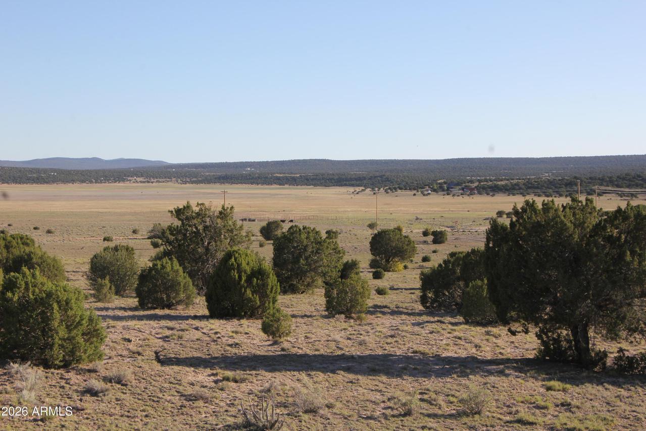 8500 Tbd County Road 8500 Rd. #43, Concho, AZ 85924