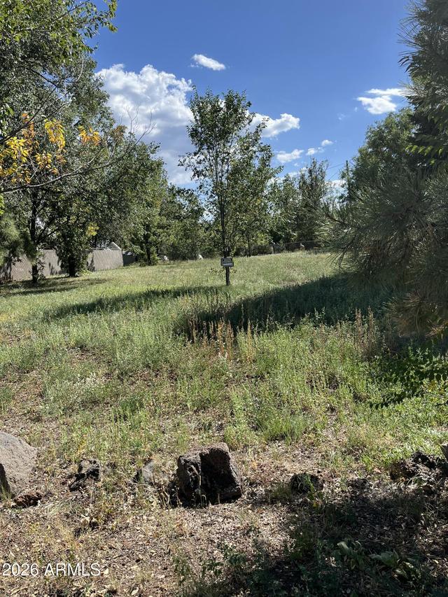 00xx W Navajo Ln. #151, Pinetop-lakeside, AZ 85929