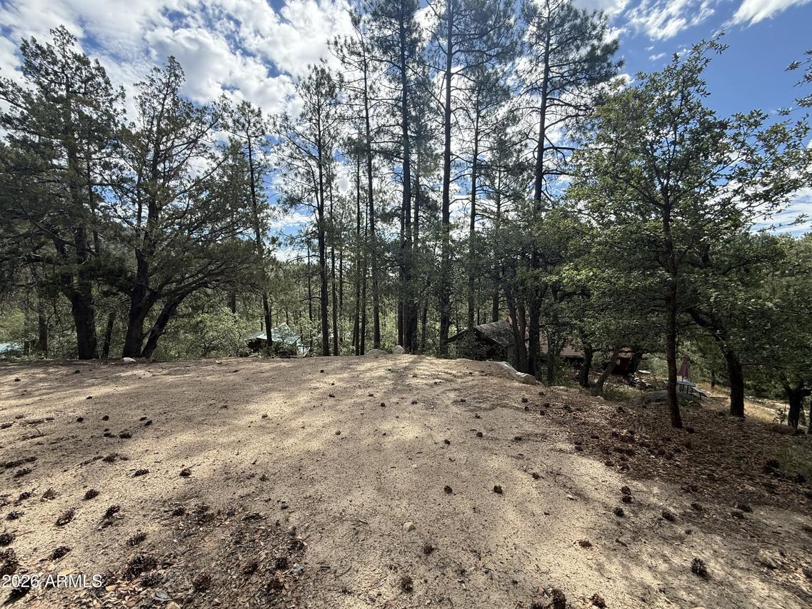23441 S Van Ln. #49, Crown King, AZ 86343