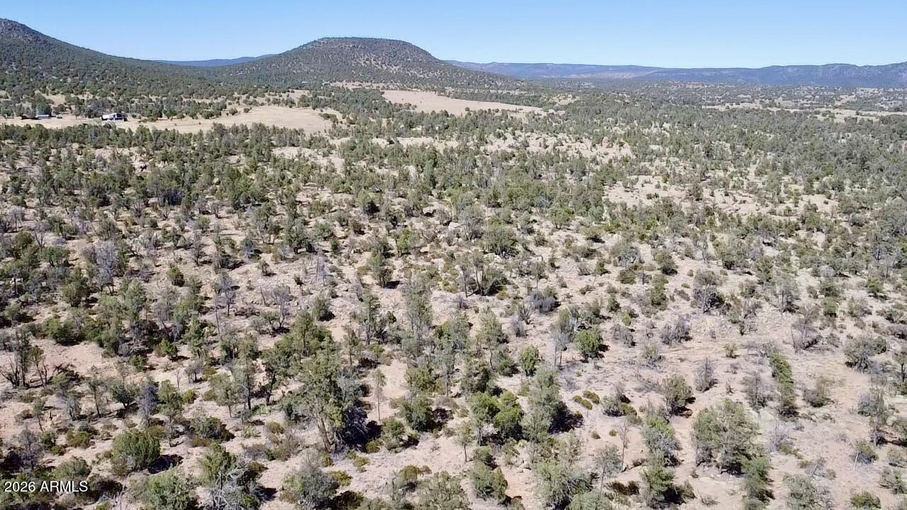 TBD N Ike Clark Pkwy. #2, Young, AZ 85554