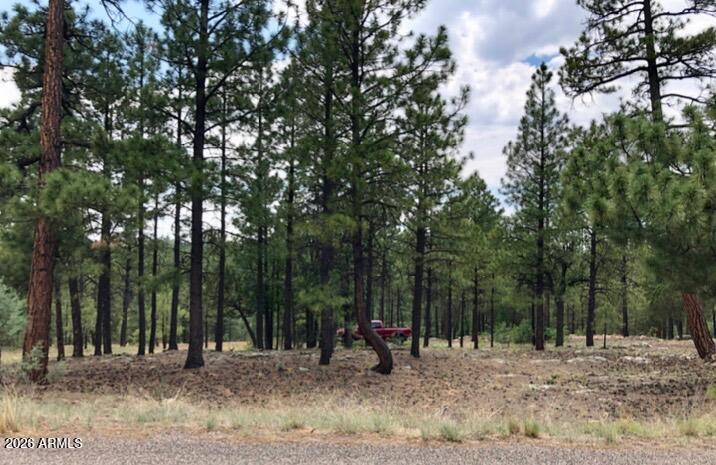 2526 Well Water Rd. #322, Happy Jack, AZ 86024