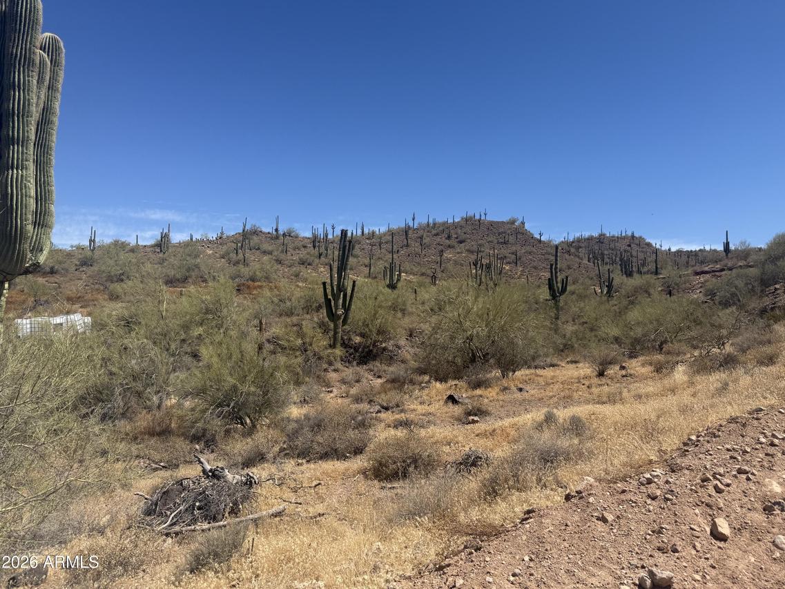1913 E Mariola #-, Phoenix, AZ 85086