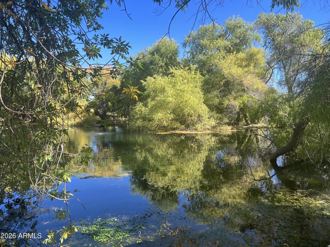 00 Muffin Ln. #-, Hereford, AZ 85615