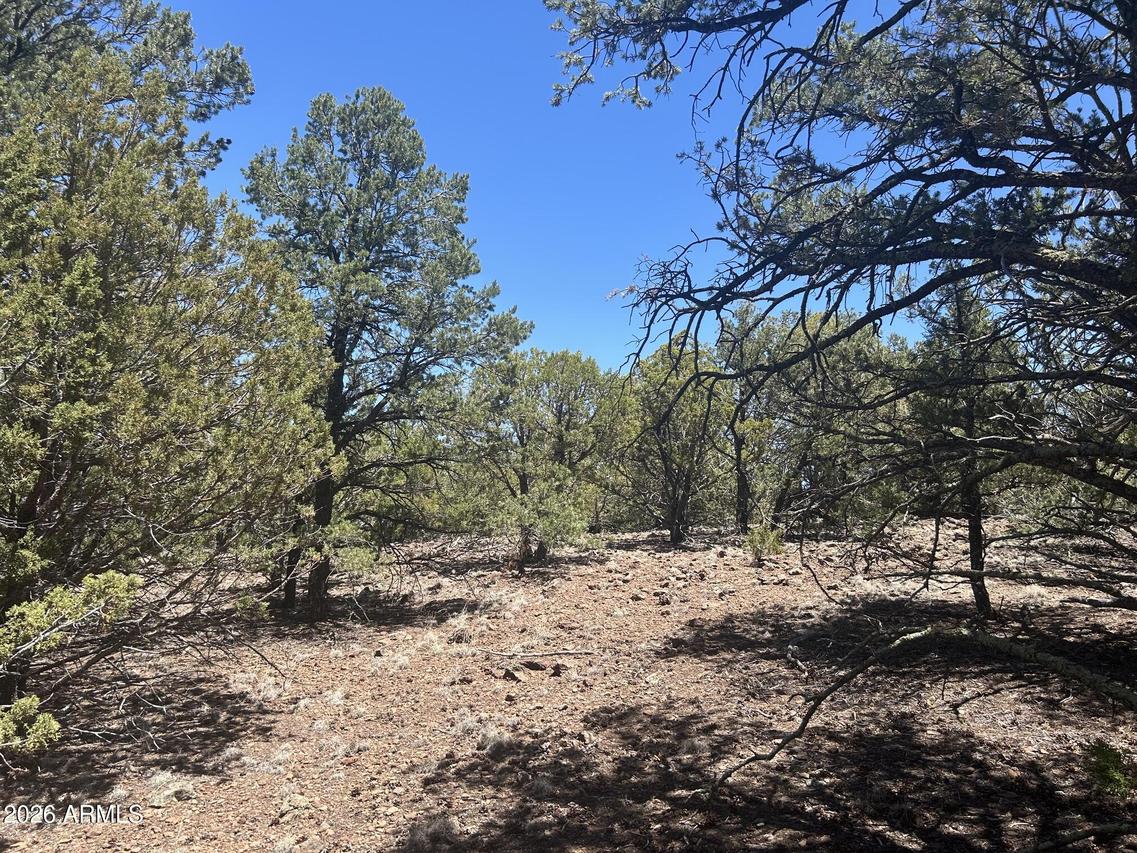 TBD Lot 37k #037K, Vernon, AZ 85940