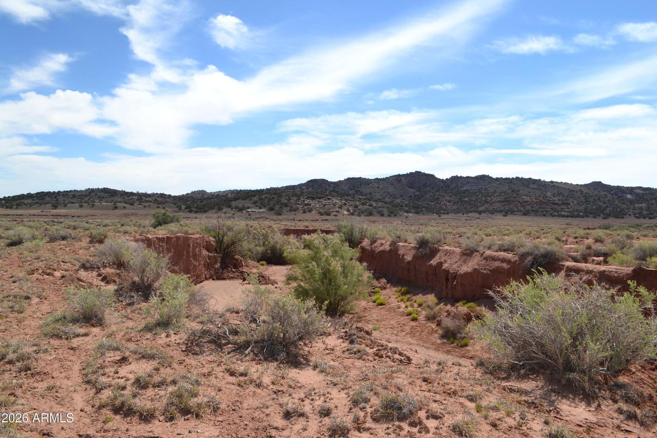 Lots 18,19 N8577 #18, Concho, AZ 85924