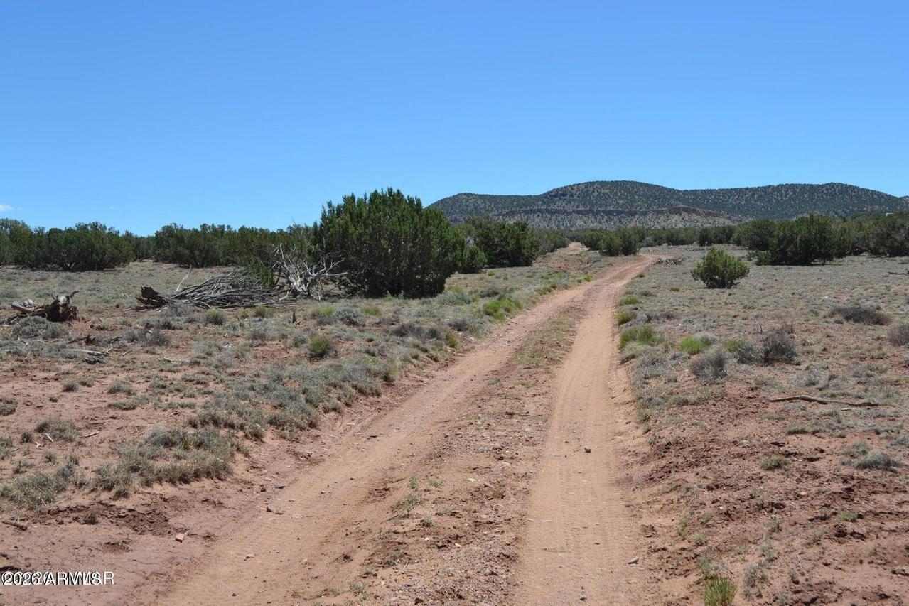 TBD N8604 #1, Concho, AZ 85924