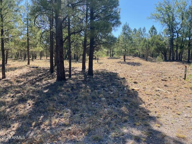 4214 Juniper Dr. #46, Happy Jack, AZ 86024