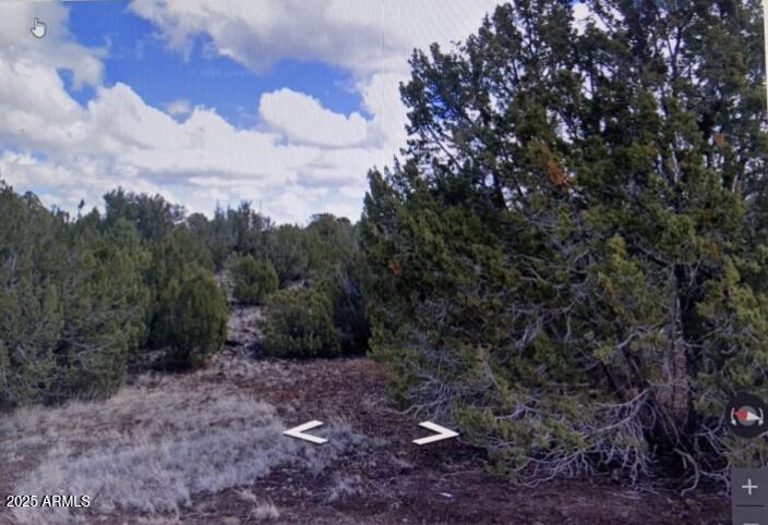 8426 Silver Creek Dr. #1, Show Low, AZ 85901