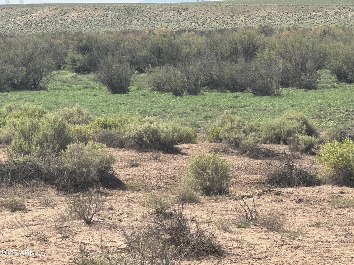 Lot 445 Carrizo Ranch #445, St Johns, AZ 85936