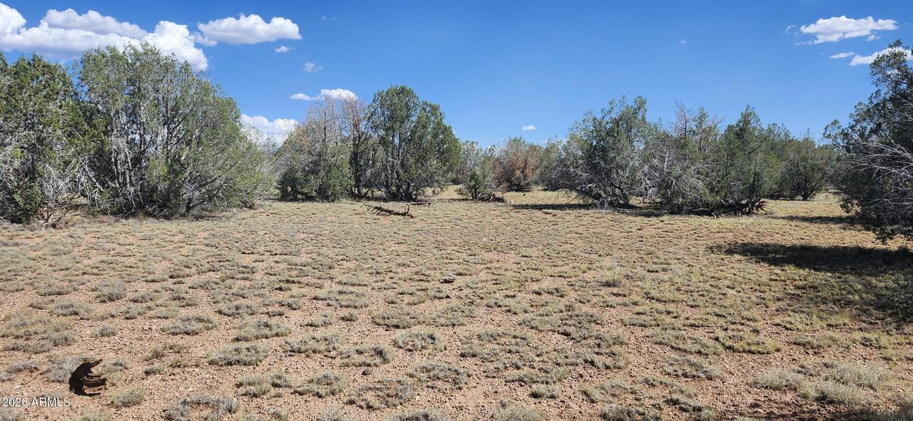 2901 N Cienega Dr. #A, Ash Fork, AZ 86320