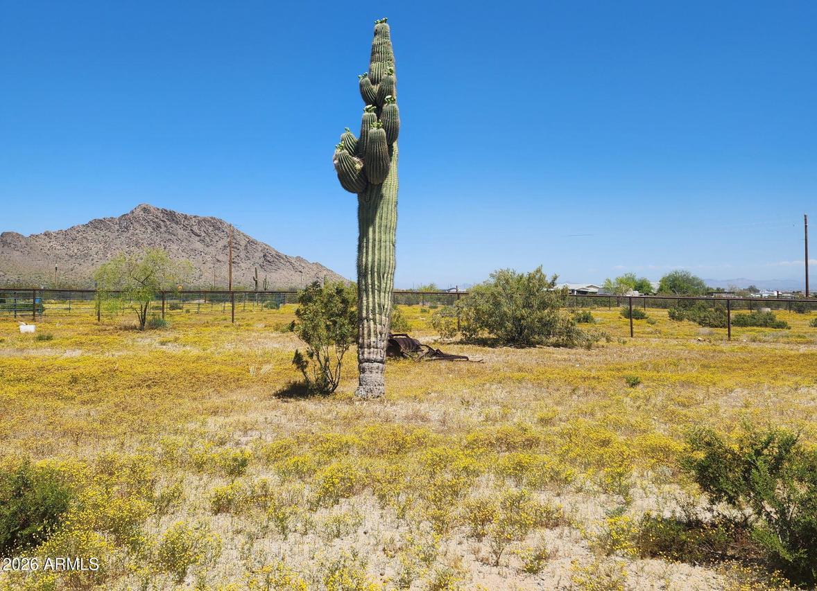 31773 N Thompson Rd., Queen Creek, AZ 85144