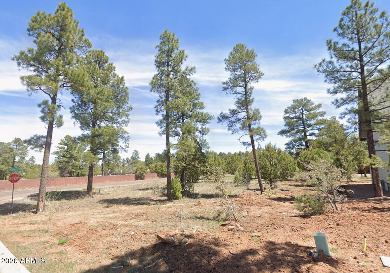 601 S Campbell Ln. #66, Show Low, AZ 85901