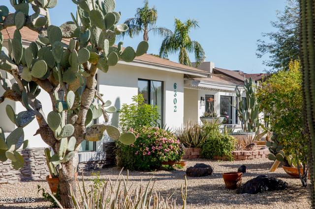 New Homes For Sale This Week That Attend Desert Springs Preparatory Elementary School: July 10th to July 16th