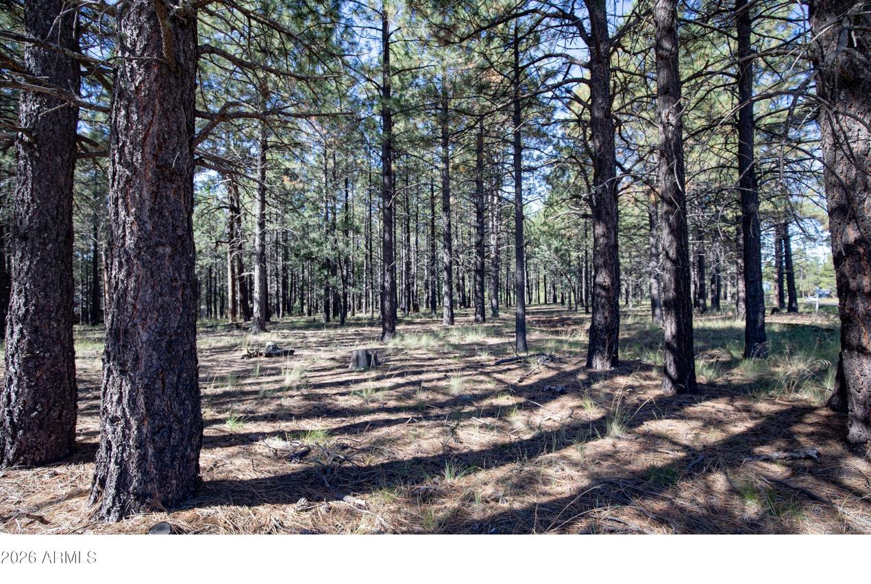 1924 Quilt Country Dr. #781, Forest Lakes, AZ 85931