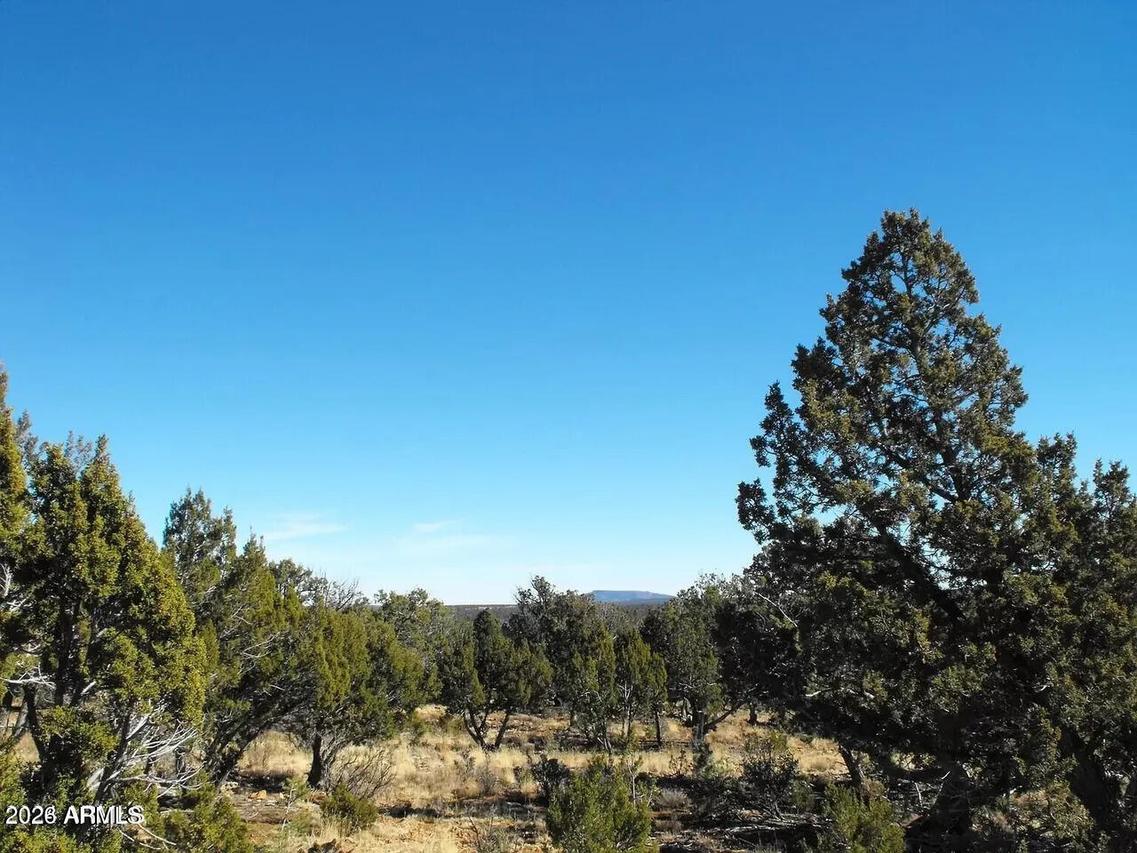 4131 Sunset Ridge Loop #-, Happy Jack, AZ 86024