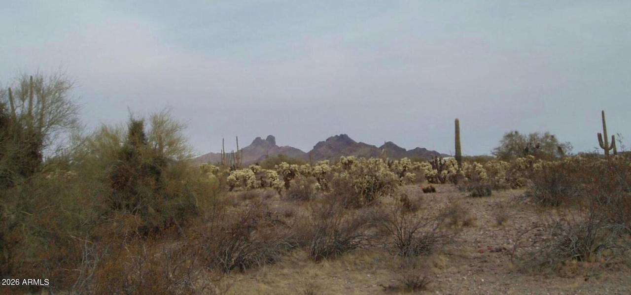 N 299th Ave. #18, Wittmann, AZ 85361