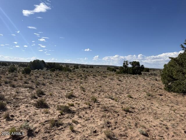 TBD County Rd N7207 #-, St Johns, AZ 85936