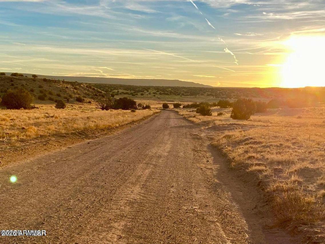 Woodland Valley Ranch Lot 902 #-, St Johns, AZ 85936