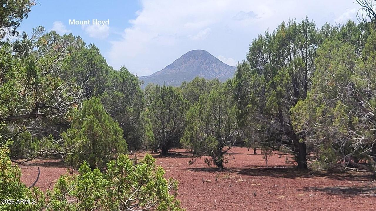 67 Ranch Rd., Williams, AZ 86046