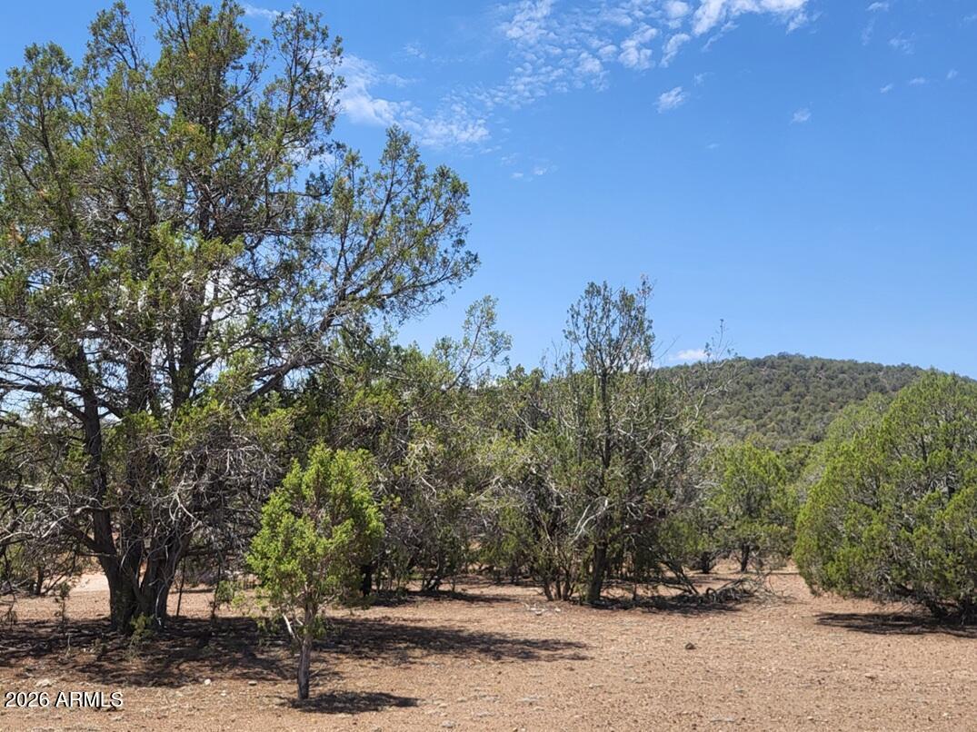 160B Cattle Dr. #160, Williams, AZ 86046