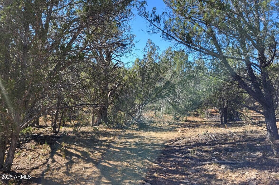 918 Wolf Rd., Ash Fork, AZ 86320