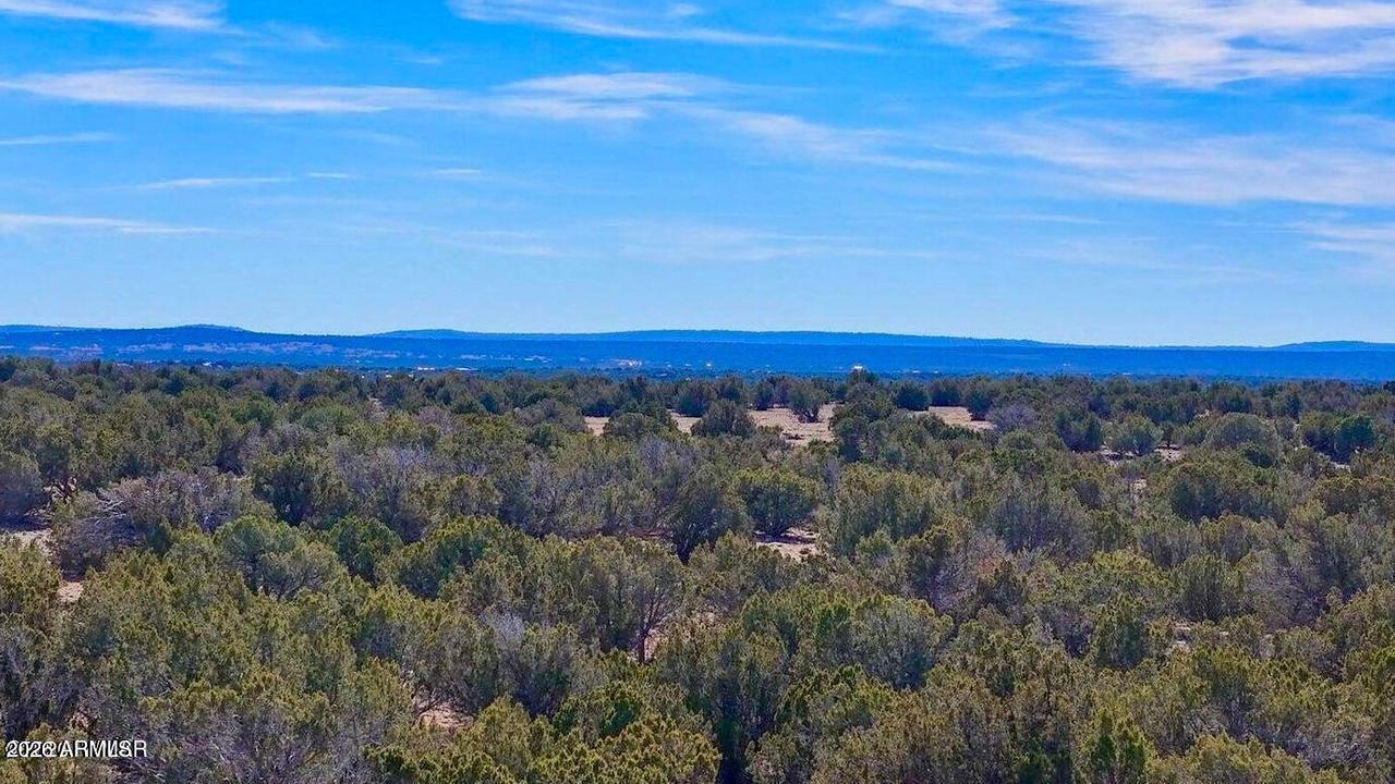 9023 Appaloosa Trail Lots C & E #-, Show Low, AZ 85901