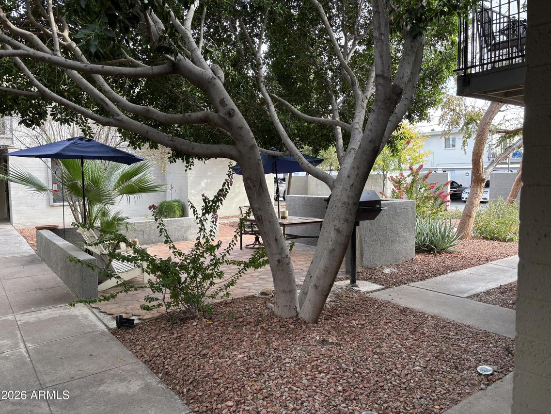 4111 E Camelback Rd. #17, Phoenix, AZ 85018