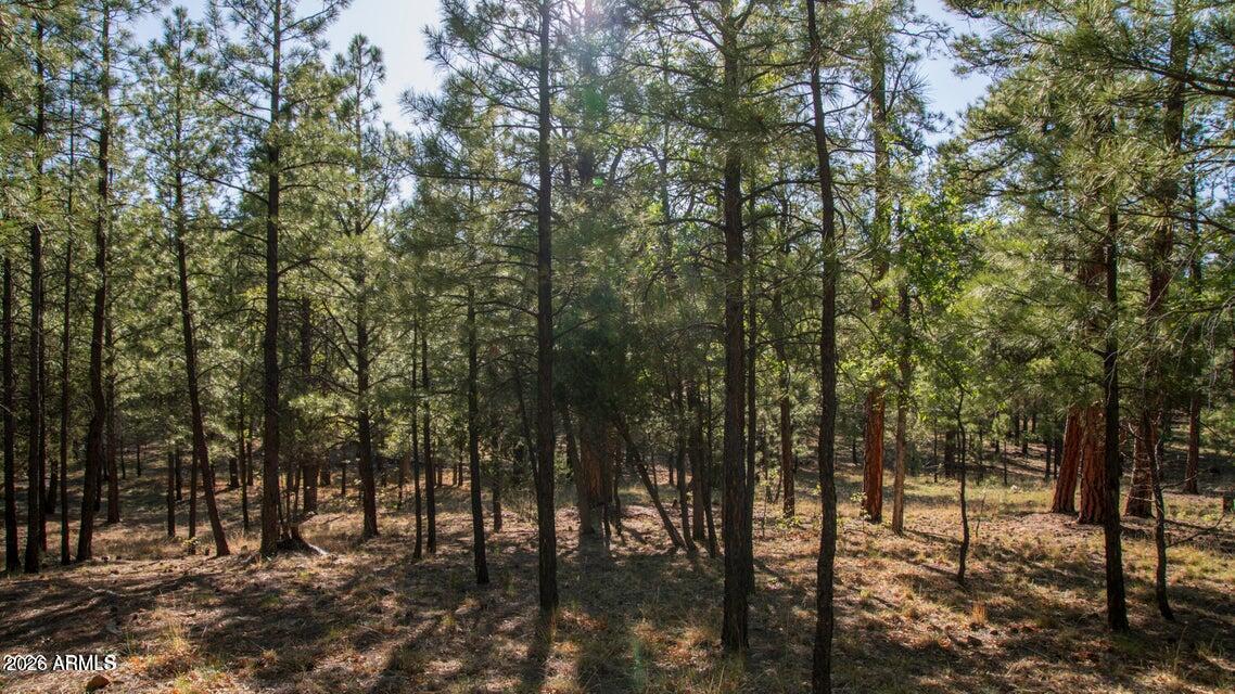 2535 Woody Pine Dr. #87, Happy Jack, AZ 86024
