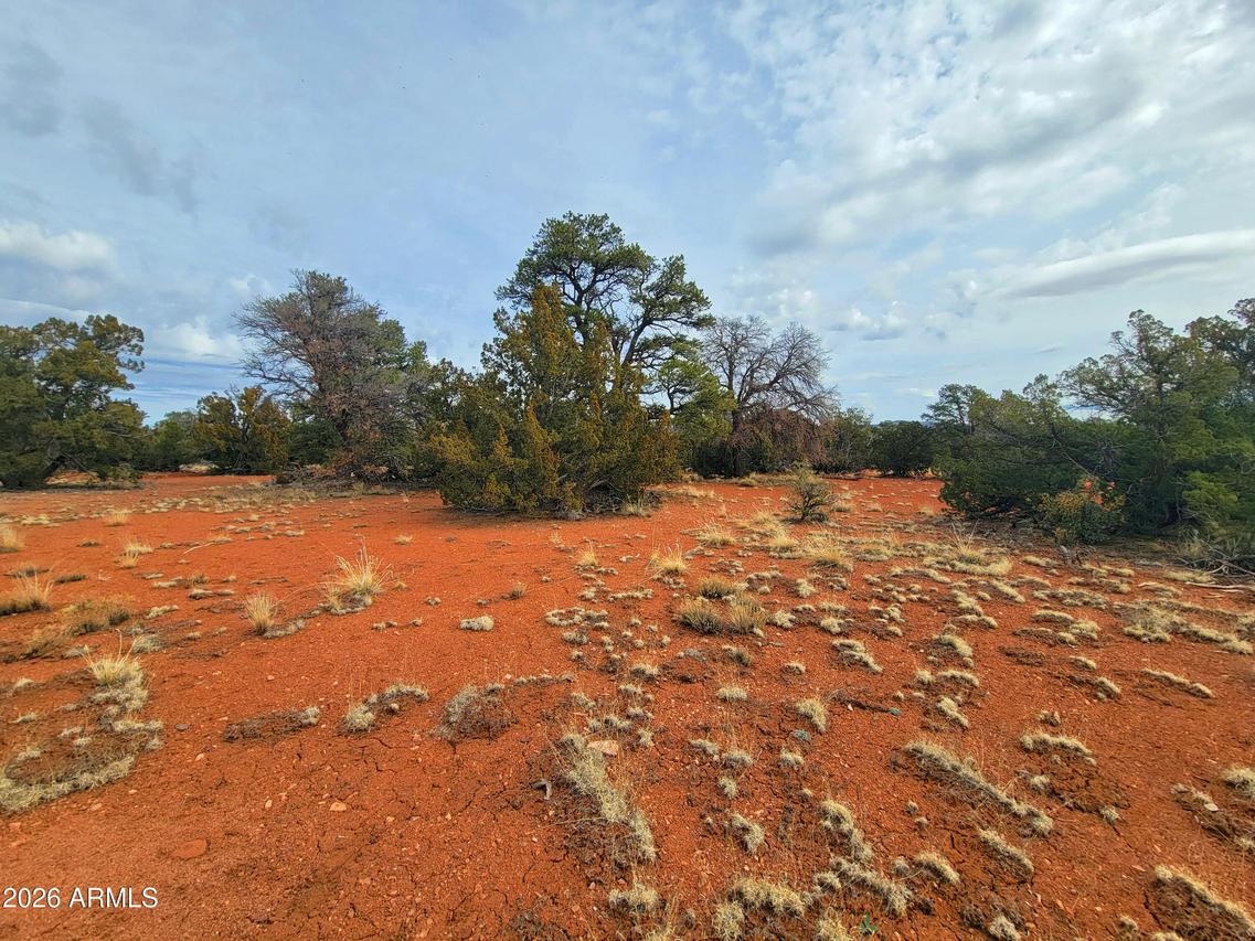 724 S Lodestar Dr. #354, Williams, AZ 86046