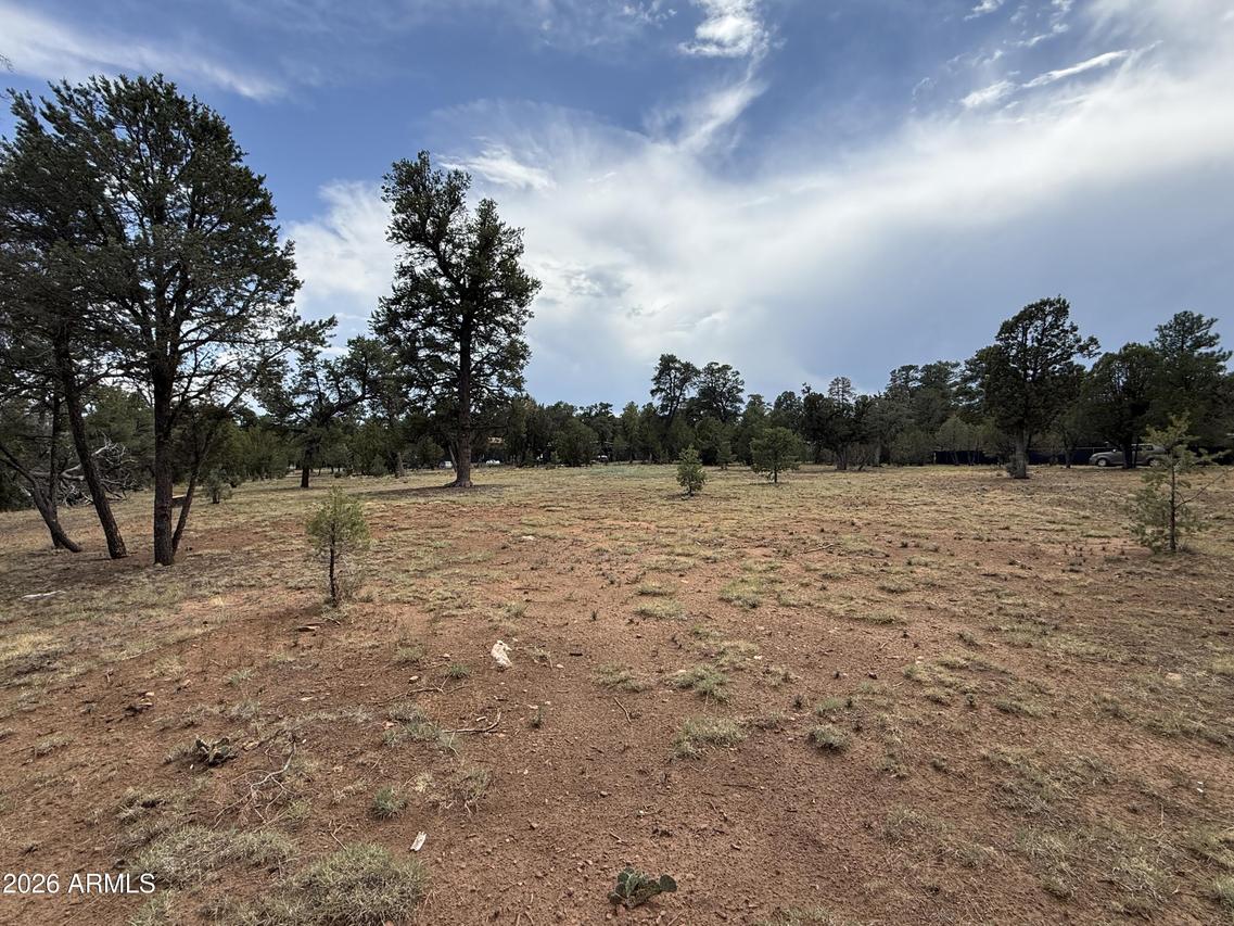 3048 Chevelon Rd. #147, Overgaard, AZ 85933