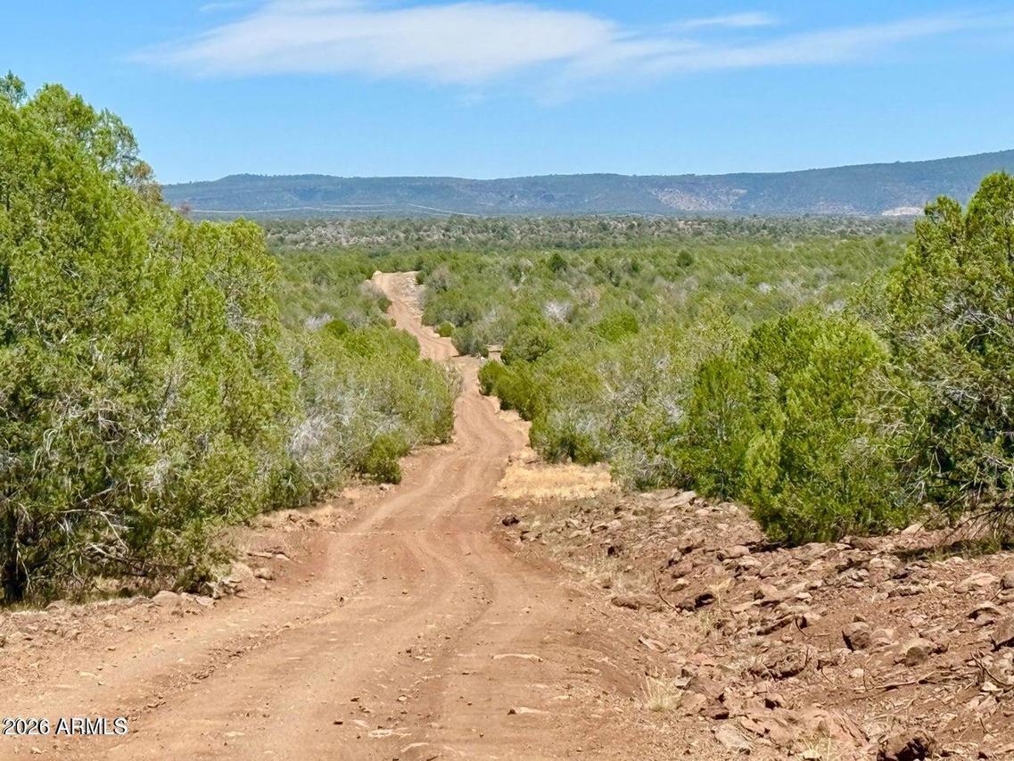 Stagecoach Dr 47 Acres #148, Ash Fork, AZ 86320