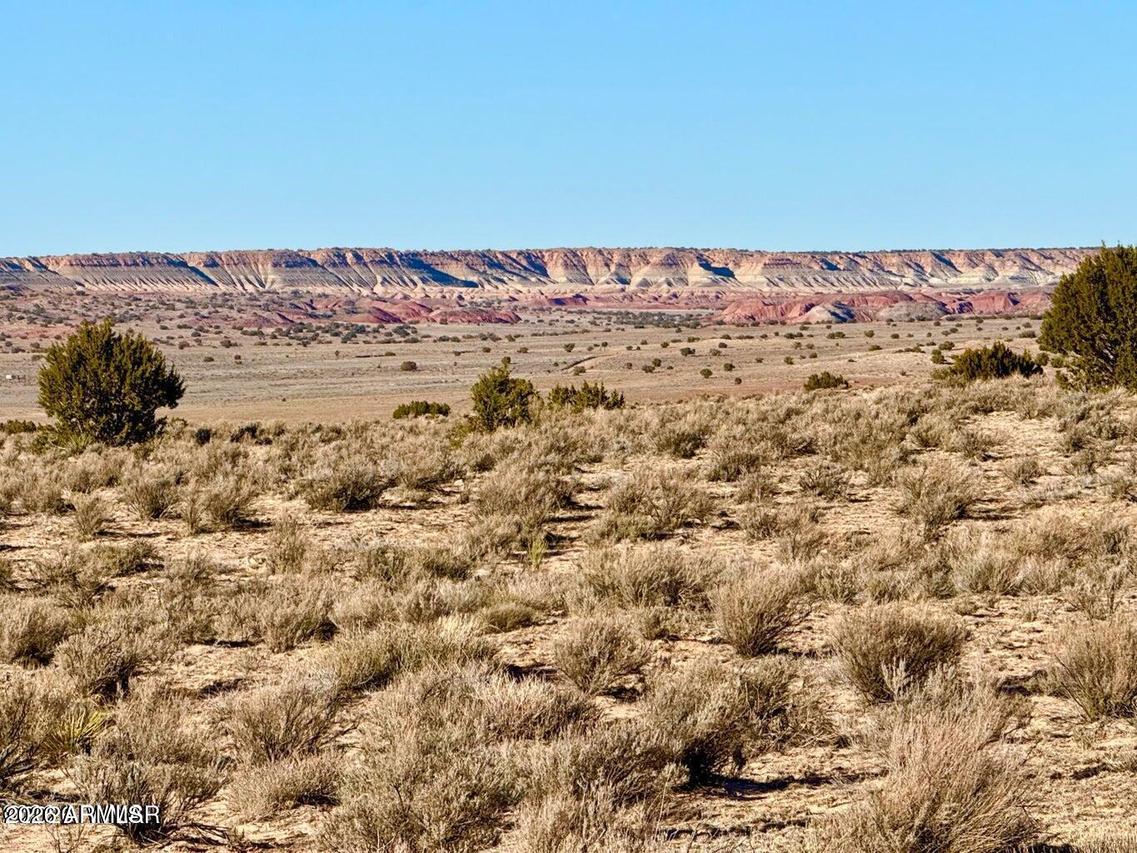 N7009 40 Acres #-, Chambers, AZ 86502