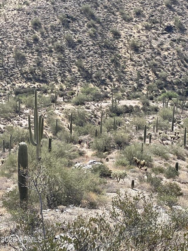 ''3'' N Silver Tip Tr. #P, Queen Valley, AZ 85118