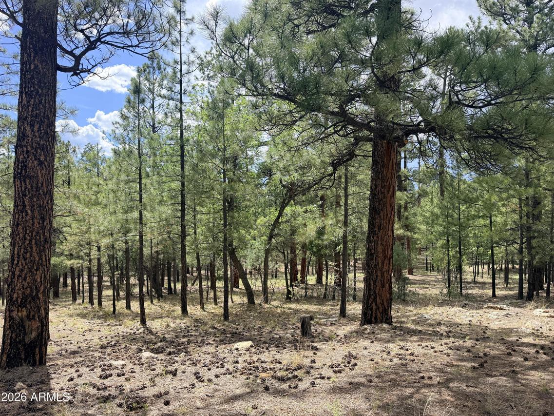 3212 Apache Dr. #589, Happy Jack, AZ 86024