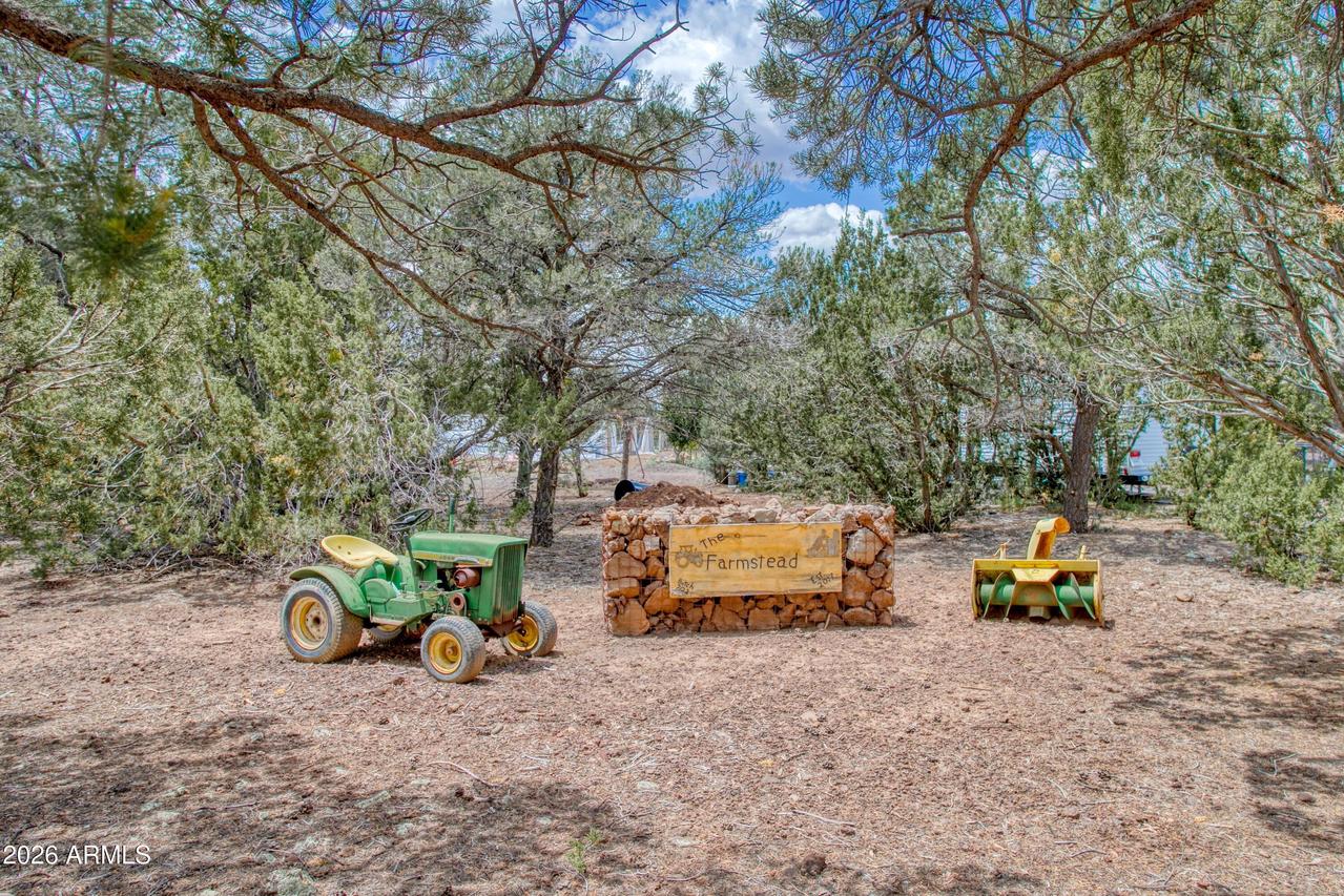 21 N3095 #2, Show Low, AZ 85901