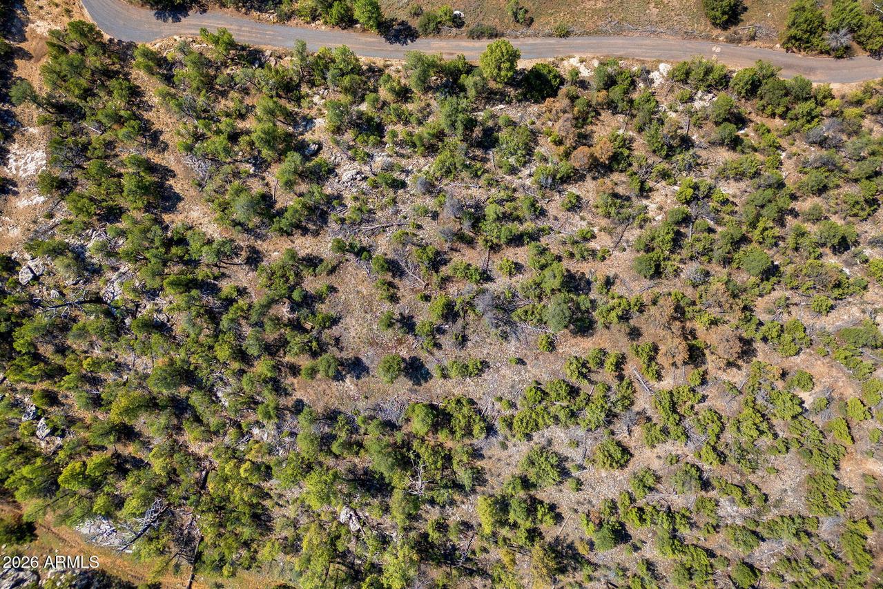 1794 Canyon Dr. #-, Heber, AZ 85928