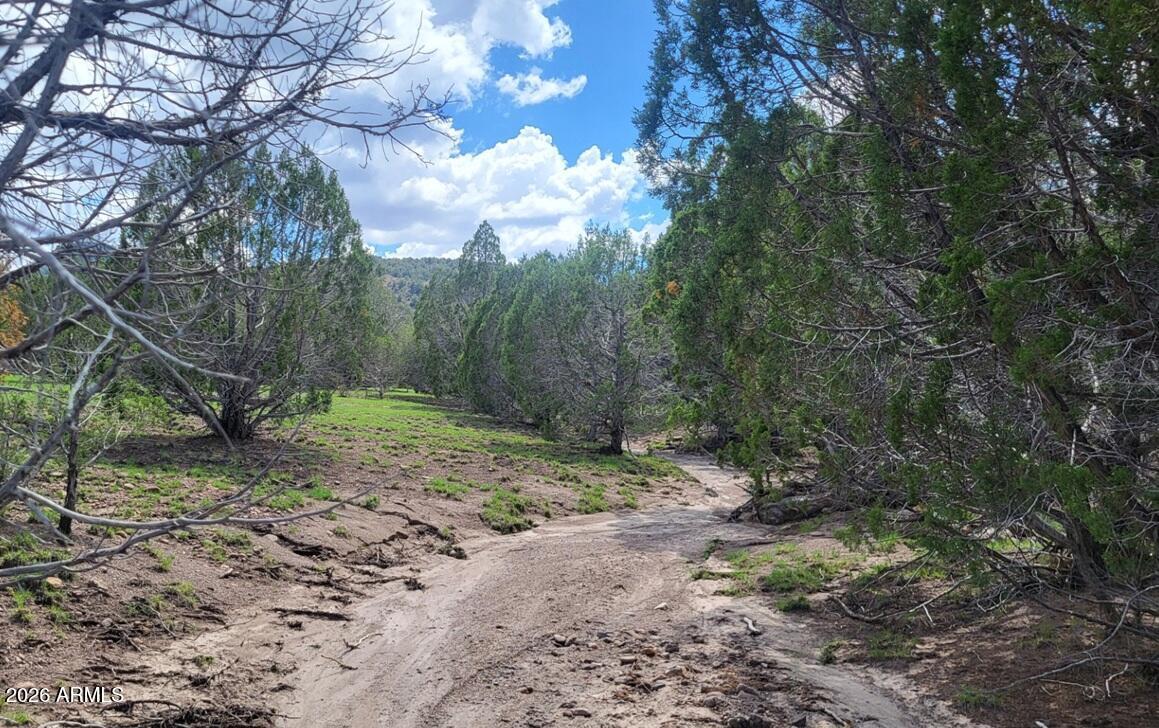 111 N Ranch Rd., Williams, AZ 86046