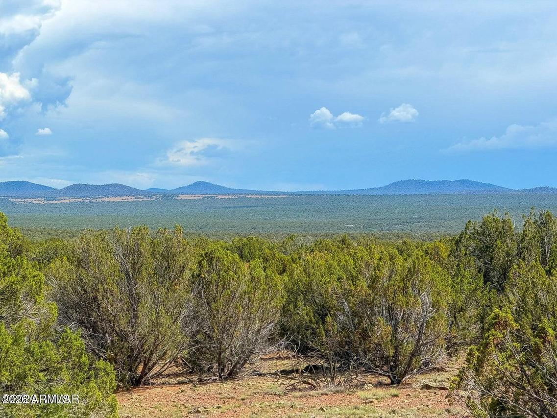 Gample Ln 13 Acres (lot A) #-, Show Low, AZ 85901