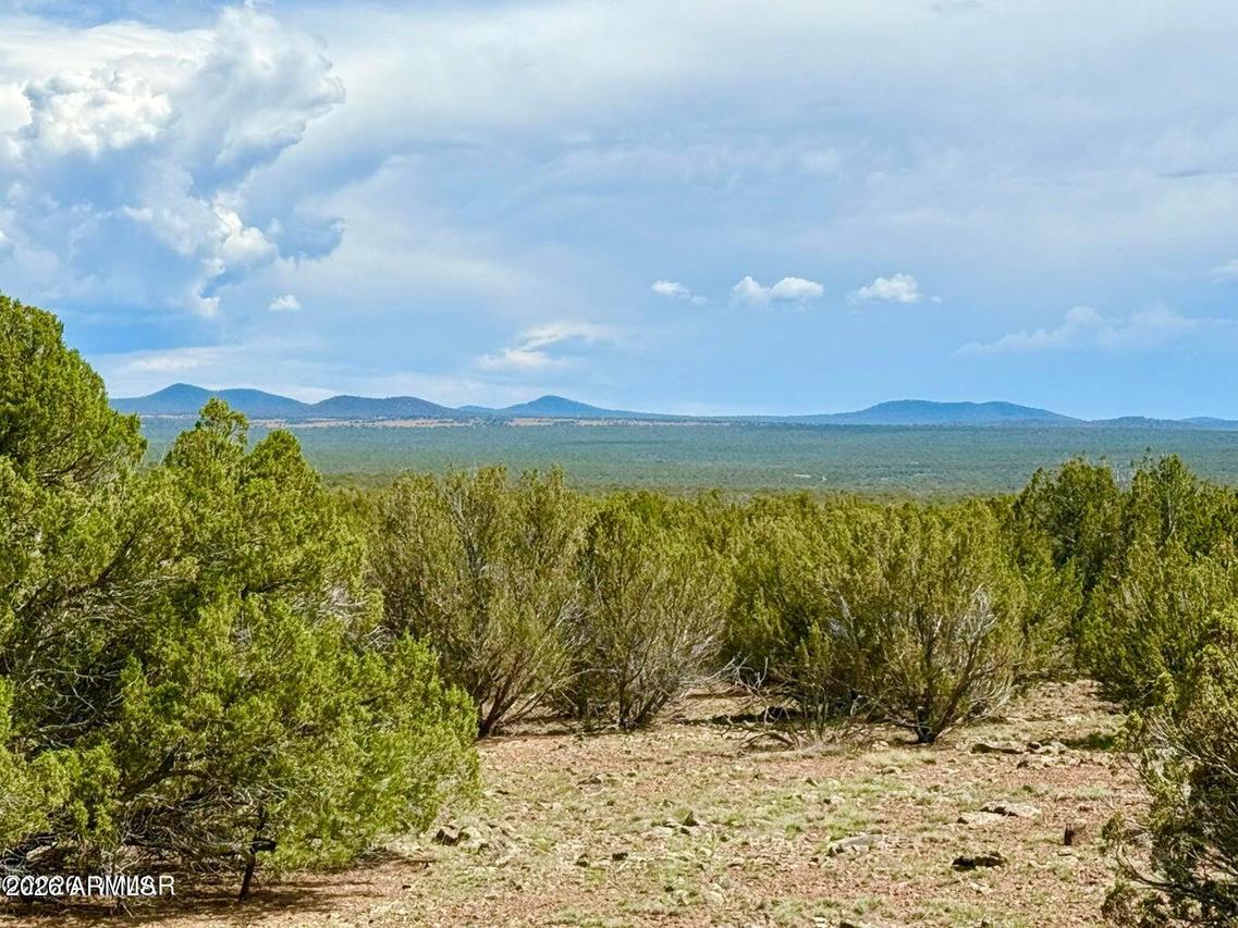 Gample Ln 13 Acres (lot B) #-, Show Low, AZ 85901