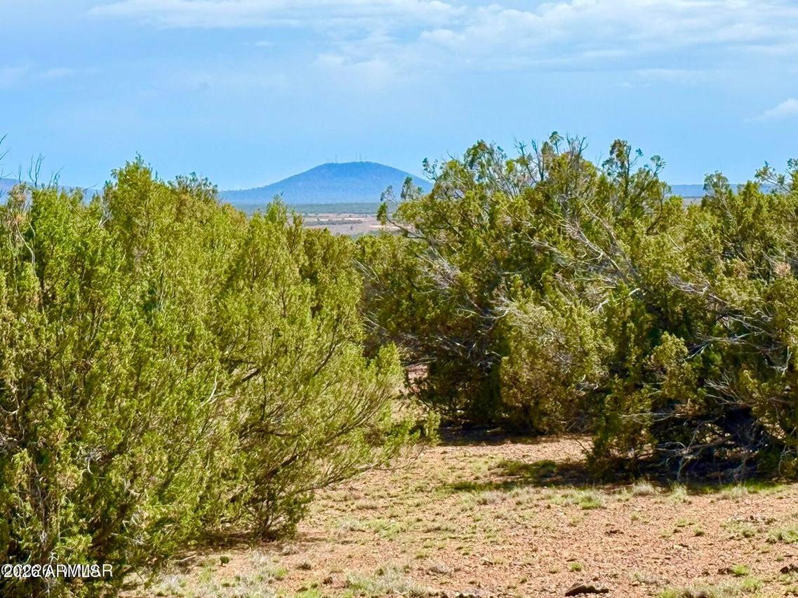 Gample Ln 13 Acres (lot C) #-, Show Low, AZ 85901