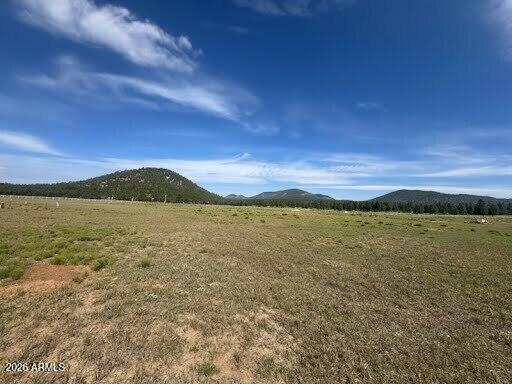 Lot 36 N Spring Valley Rd. #-, Parks, AZ 86018