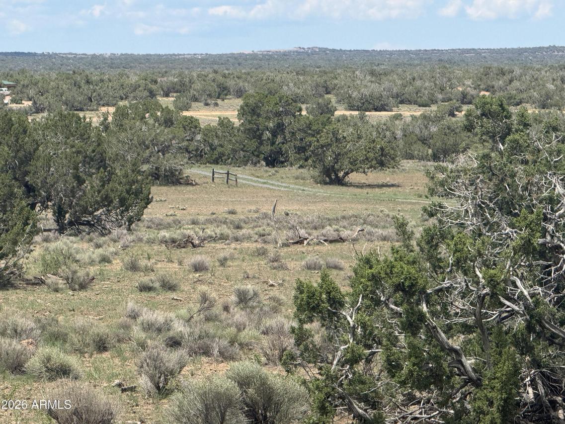 Lot 19 Red Sky Ranch #19, Sanders, AZ 86512
