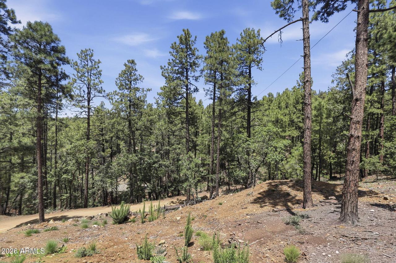 4696 S Jack Pine Rd. #17, Prescott, AZ 86303