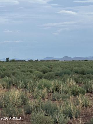 New Homes For Sale This Week That Attend Willcox Elementary School: July 24th to July 30th