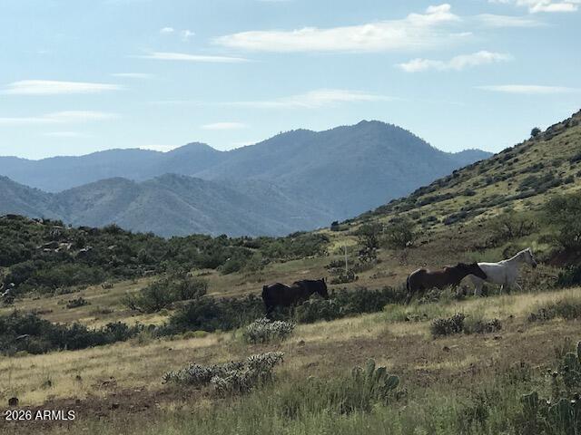 --- Miners Pick Rd. #4, Mayer, AZ 86333