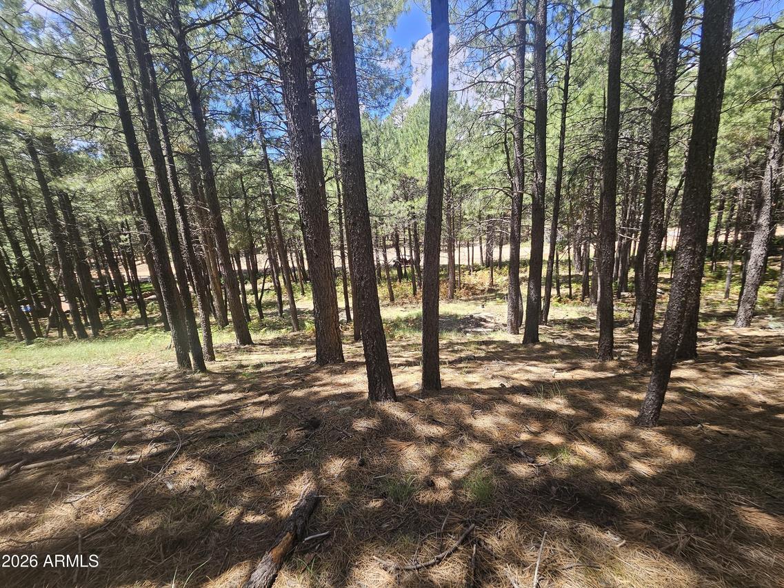 589 Trout Springs Rd. #71, Forest Lakes, AZ 85931