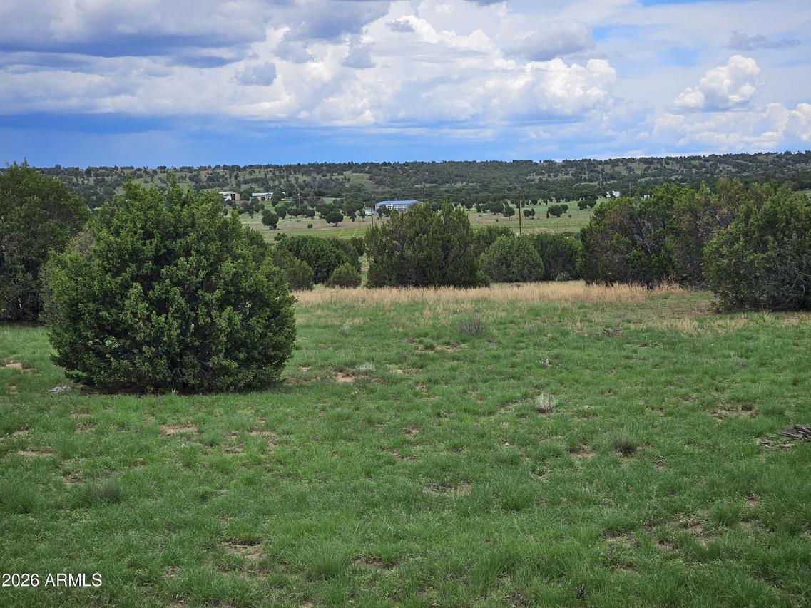 TBD Birdwing Ln. #-, Clay Springs, AZ 85923